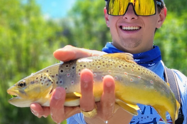 a hand holding a fish