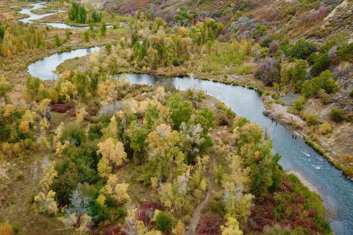 a rocky river with trees on the side of a hill