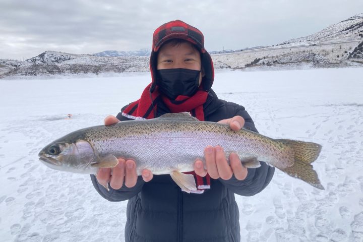 a person holding a fish in the water