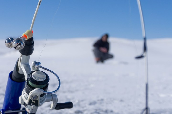 a group of people skiing on the snow